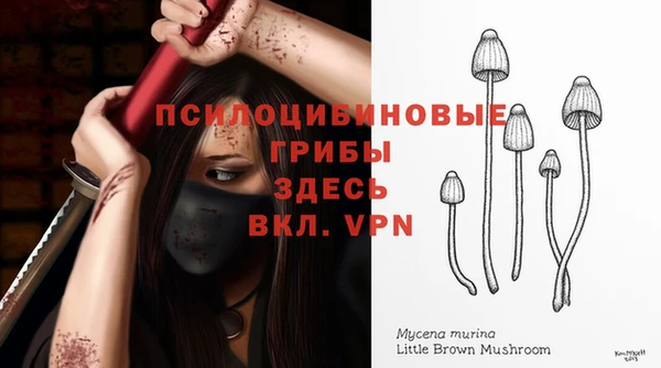 mix Медногорск