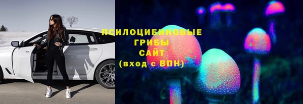 мяу мяу мука Михайловка