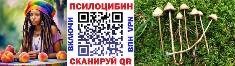 Псилоцибиновые грибы мицелий  Барнаул 