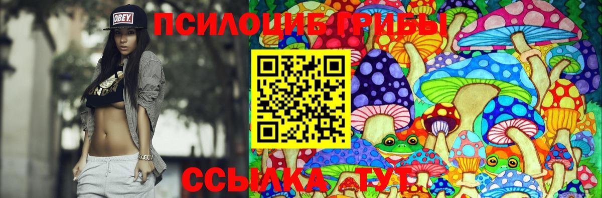 Псилоцибиновые грибы Psilocybine cubensis  Псилоцибиновые грибы MAGIC MUSHROOMS  Вход с VPN  Россия 